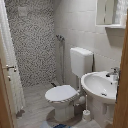 Apartment Savic *